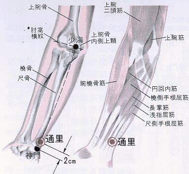 建里穴|醫砭 » 經穴庫 » 建里